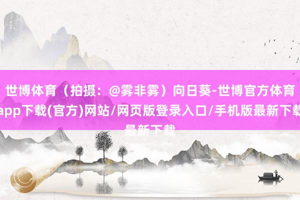 世博體育（拍攝：@霧非霧）向日葵-世博官方體育app下載(官方)網(wǎng)站/網(wǎng)頁版登錄入口/手機版最新下載