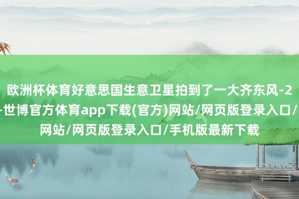 歐洲杯體育好意思國生意衛星拍到了一大齊東風-26放射車的畫面-世博官方體育app下載(官方)網站/網頁版登錄入口/手機版最新下載