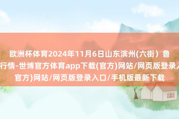 歐洲杯體育2024年11月6日山東濱州(六街)魯北蔬菜批發阛阓價錢行情-世博官方體育app下載(官方)網站/網頁版登錄入口/手機版最新下載