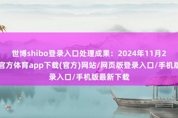 世博shibo登錄入口處理成果：2024年11月25日-世博官方體育app下載(官方)網(wǎng)站/網(wǎng)頁版登錄入口/手機版最新下載