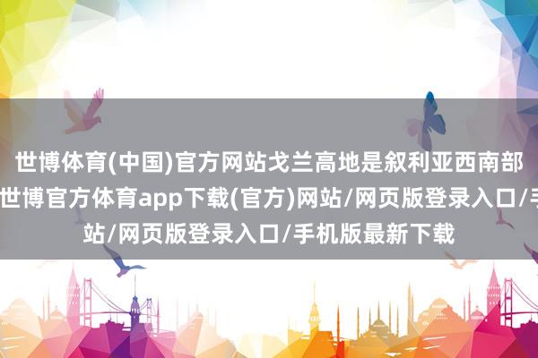 世博體育(中國)官方網站戈蘭高地是敘利亞西南部一塊狹長地帶-世博官方體育app下載(官方)網站/網頁版登錄入口/手機版最新下載