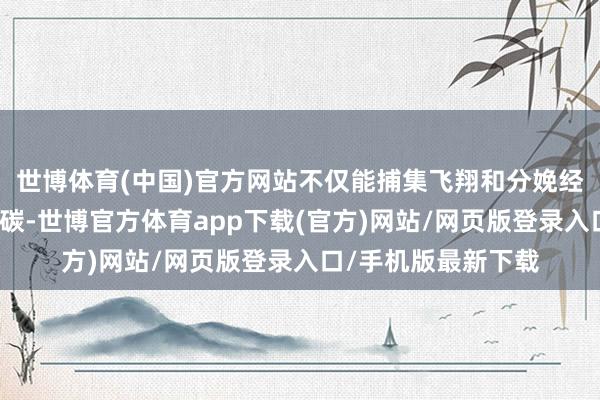 世博體育(中國)官方網站不僅能捕集飛翔和分娩經過中產生的二氧化碳-世博官方體育app下載(官方)網站/網頁版登錄入口/手機版最新下載