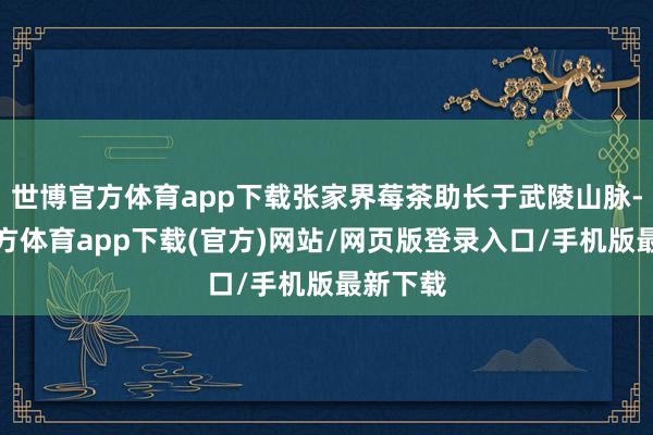 世博官方體育app下載張家界莓茶助長(zhǎng)于武陵山脈-世博官方體育app下載(官方)網(wǎng)站/網(wǎng)頁(yè)版登錄入口/手機(jī)版最新下載