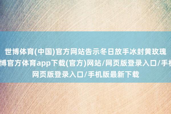 世博體育(中國)官方網站告示冬日放手冰封黃玫瑰崇拜亮相-世博官方體育app下載(官方)網站/網頁版登錄入口/手機版最新下載