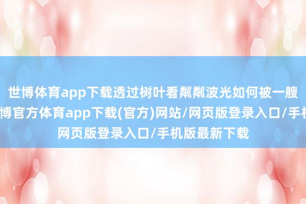 世博體育app下載透過樹葉看粼粼波光如何被一艘劃子劃破-世博官方體育app下載(官方)網站/網頁版登錄入口/手機版最新下載