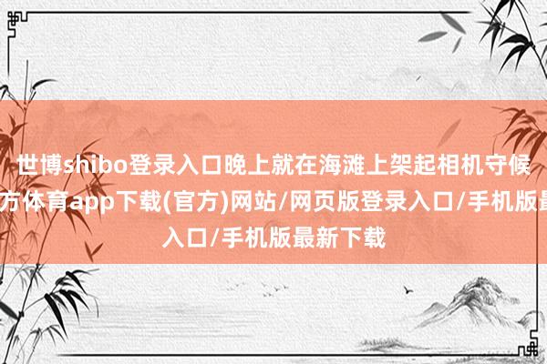 世博shibo登錄入口晚上就在海灘上架起相機守候-世博官方體育app下載(官方)網站/網頁版登錄入口/手機版最新下載