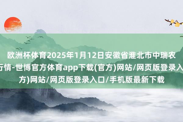 歐洲杯體育2025年1月12日安徽省淮北市中瑞農家具批發阛阓價錢行情-世博官方體育app下載(官方)網站/網頁版登錄入口/手機版最新下載
