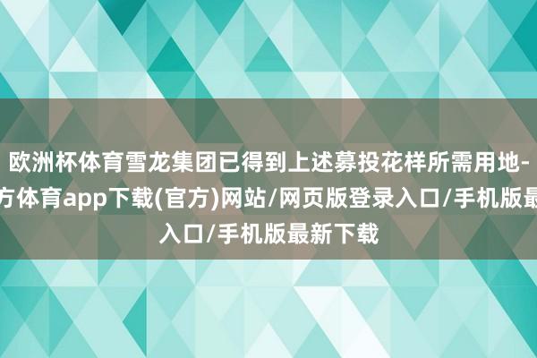 歐洲杯體育雪龍集團已得到上述募投花樣所需用地-世博官方體育app下載(官方)網站/網頁版登錄入口/手機版最新下載