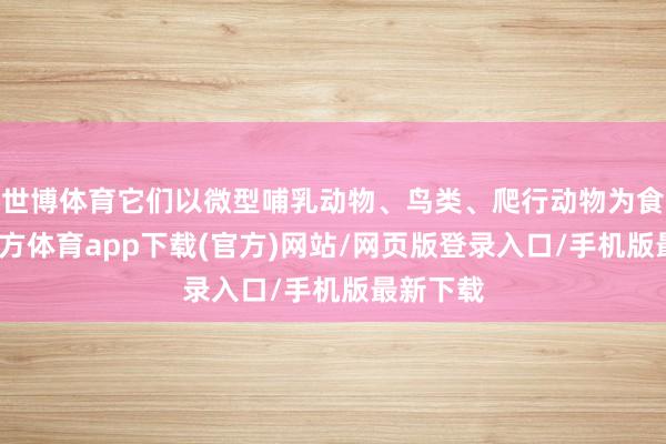 世博體育它們以微型哺乳動(dòng)物、鳥類、爬行動(dòng)物為食-世博官方體育app下載(官方)網(wǎng)站/網(wǎng)頁(yè)版登錄入口/手機(jī)版最新下載