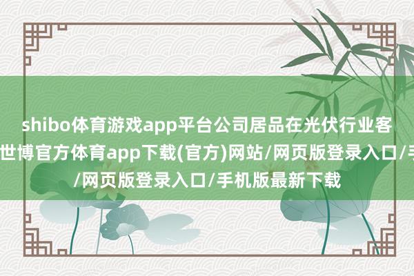 shibo體育游戲app平臺公司居品在光伏行業客戶的銷量下落-世博官方體育app下載(官方)網站/網頁版登錄入口/手機版最新下載